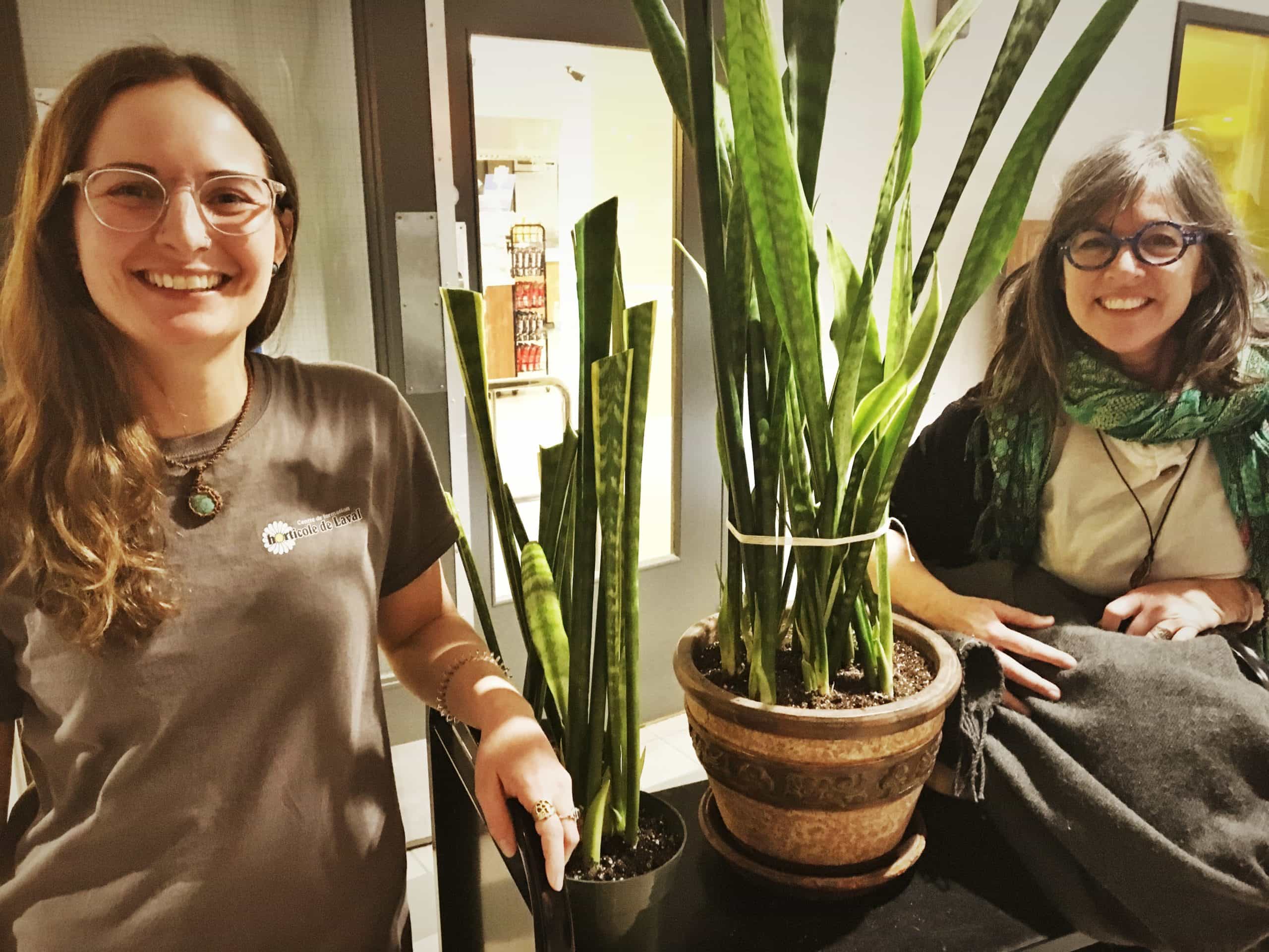 Centre_horticole_de_Laval