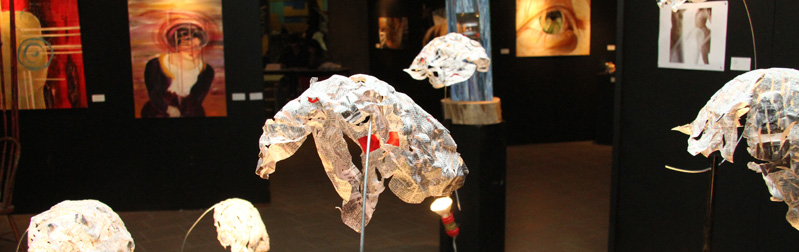ExpositionArts_cstj_Carousselweb